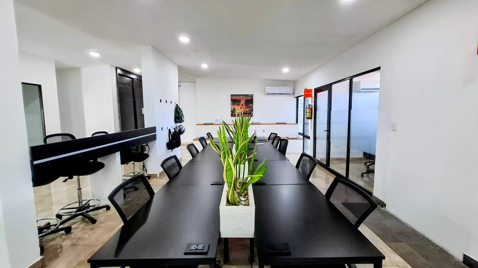 Open Desk de Sinerdipia: escritorios compartidos con luz natural